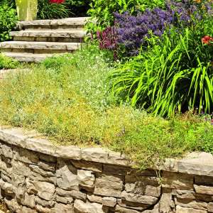 Garden Retaining Wall